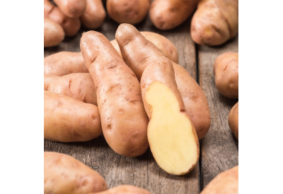 Pink Fir Apple Seed Potatoes (Maincrop - 1 kg)